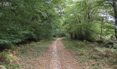Trail Walking Charentilly - Charentilly - variante Chemin des Grandes Tailles - 11.2km 110m 3h00 - 2025 08 27 - Photo 9