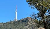 Tour Wandern Saint-Raphaël - col de la Cadière depuis le Belle-Barbe  - Photo 4