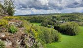 Randonnée Marche Anthisnes - Anthines - Comblain-au-Pont - Photo 2