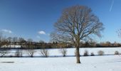 Tour Zu Fuß Käerjeng - Auto-Pédestre Clemency 1 - Photo 10