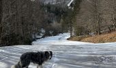 Trail Walking Stosswihr - La Schlucht Le Hohneck Le lac de La Lande Le Collet - Photo 9