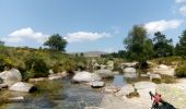 Trail Walking Vialas - Mas de la Barque - Pic Cassini - Pont du Tarn - Photo 2