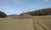 Tocht Te voet Gomadingen - Zugangsweg - Eichhalde (Markungsgrenze) - Bitz - Ruine Lichtenstein - Burren - Küche - Hermannsdorf - Photo 6