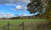 Randonnée Marche Bierbeek - Meerdael Nord  - Photo 2