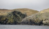 Randonnée A pied Unknown - Stones of Stofast to Lunna Ness - Photo 6