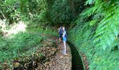 Excursión Senderismo São Jorge - Levada del Rei - Photo 9