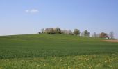 Trail On foot Poppenhausen - Dietershausen Rundweg 1 - Photo 4