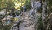 Trail Walking Sales de Llierca - Sadernes Sant Aniol  - Photo 14