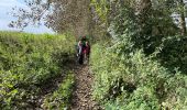 Tocht Stappen Tongeren - tongres - Photo 5