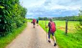 Trail On foot Villeneuve-sur-Yonne - Villeneuve Sur Yonne - Sens 32 km étape 1/3 - Photo 6