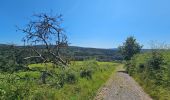 Tour Wandern Manhay - Balade à Deux-Rys - Manhay - Photo 9