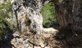 Excursión Senderismo Ollioules - Grottes Monnier et Patrimoine  - Photo 10