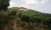 Trail Walking Monticello - boucle d'arbo - Photo 18