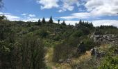 Tocht Stappen Les Plans - Forêt domaniale d'Escandorgue par Roqueredonde et l'Engayresque - Photo 6