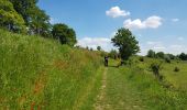 Trail Walking Beekdaelen - 2021-05-28_17h16m56_870 - Photo 8