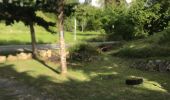 Trail Nordic walking Sainte-Anne - Belle mare  - Photo 1