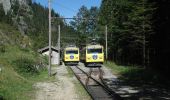 Percorso A piedi Brannenburg - Wendelstein - Reindler Alm - Mitteralm - Aipl - Zahnradbahn (Talbahnhof) - Photo 8