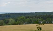 Tocht Stappen Eupen - 20220627 - Barrage Eupen 7.6 Km - Photo 10