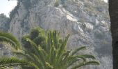 Trail On foot Ventimiglia - AM0 - ALPI MARE 0 - Photo 8