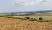 Tour Wandern Laines-aux-Bois - Laines Aux Bois - Photo 2