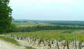 Tour Elektrofahrrad Chablis - Chablis Vaucoupin Gérard 21052023 - Photo 7