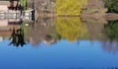 Tour Wandern Grézieu-le-Marché - Grézieu Le Marché - St Symphorien sur Coise - Photo 11