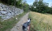 Trail Walking Claix - Colline de Comboire - Photo 8