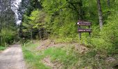 Trail Walking Sentheim - Sentheim Grambaechle - Photo 3