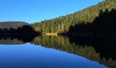 Randonnée Marche La Bresse - VOSGES 2023 - Jour 1 - Le Lac aux Corbeaux - Photo 2