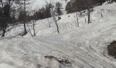 Trail Snowshoes Montricher-Albanne - Albanne - Prario -la Plagne - le Belvedere - Photo 10