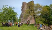 Trail Walking Saverne - Saverne et ses châteaux  - Photo 18