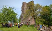 Excursión Senderismo Saverne - Saverne et ses châteaux  - Photo 18