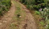 Tocht Stappen Feuilla - Feuilla Caves  - Photo 13