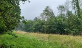 Tocht Stappen Esneux - tilf . ferme de femelette.  roche aux faucons.  avister. tilf  - Photo 4