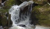 Tour Zu Fuß Grevenmacher - FB Grevenmacher I - Photo 9
