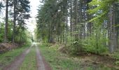 Percorso Marcia Spa - spa . bronrome . thier des rexhons . spa  - Photo 10