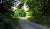 Tour Wandern Pierrefonds - en forêt de Compiègne_30_la Tournante sous le Mont Saint-Mard - Photo 7