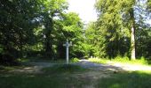 Tocht Stappen Rethondes - en forêt de Laigue_6_12_2019_Route Forestière des Princesses_Route et Chemin de Briançon - Photo 3