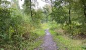 Trail Walking Pelt - De Wulp Hageven Grote Heide 24 km - Photo 13
