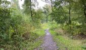 Tocht Stappen Pelt - De Wulp Hageven Grote Heide 24 km - Photo 13