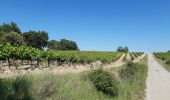 Tour Wandern Saint-Martin-de-la-Brasque - St Martin de Brasque - Photo 2