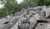 Trail Walking Orbey - Tour de lac Noir et du Lac Blanc  - Photo 11