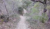 Trail Walking Lafare - le tour des dentelles 84 - Photo 9