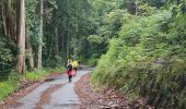 Trail Walking Pontevedra - Pontevedra Caldas de Reyes - Photo 1