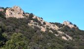 Trail Walking Le Plan-de-la-Tour - Autour du rocher de San Peyre - Photo 4