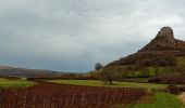 Percorso Marcia Solutré-Pouilly - Solutré - Photo 1