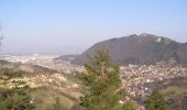 Trail On foot Brasov - Brașov (centru) - Stejerișul Mare - Poiana Mică - Photo 2