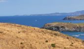 Percorso Marcia Banyuls-sur-Mer - Banyuls_Peyrefite_bis_T - Photo 4