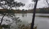 Trail Walking Pluneret - PR_56_Pluneret_AA_01_Les-Deux-Rivieres_Circuit4a_20191124 - Photo 8