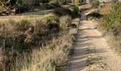 Excursión Senderismo Astorga - 2023 11 01 CAMINO FRANCES - 40ème étape : Astorga - Murias de Rechivaldo - Sta Catalina de Somoza El Ganso - Rabanal del Camino - Foncebadon - Manjarin - El Acebo - Riego de Ambrosien Molinaseca Ponferrada  - Photo 4
